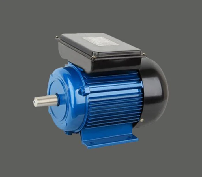 Wasserpumpenmotor