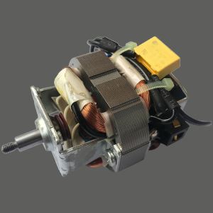 Wechselstrommotor der Kochmaschine
