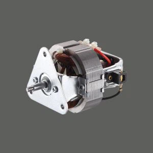 Multiplex-Schneebesenmotor