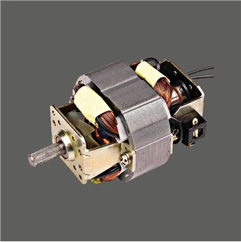 Motor in einem tragbaren Entsafter
