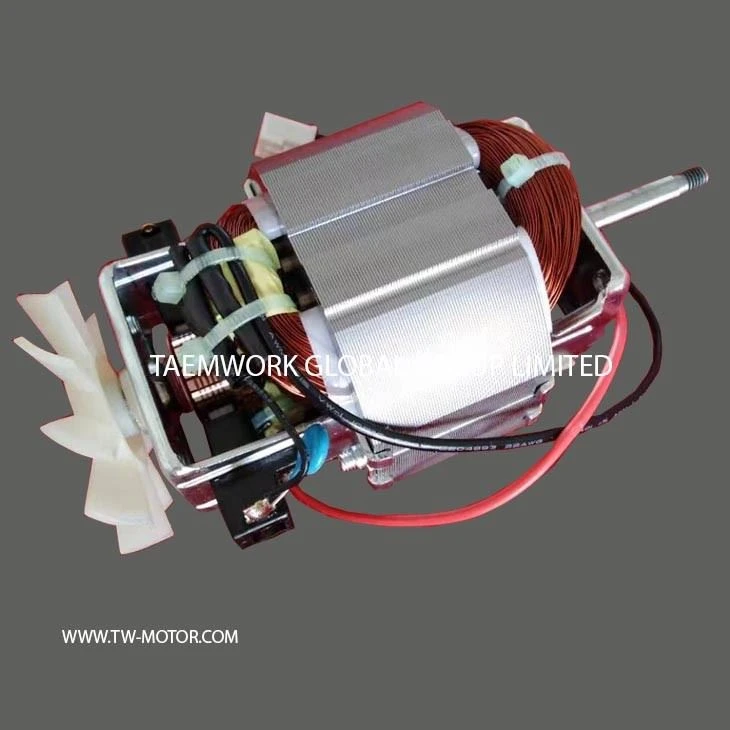 Meat Mincer Motor