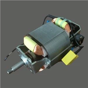 Kleiner Mischermotor 220V.