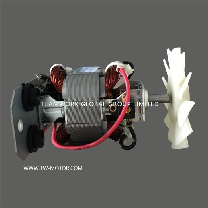 UM Motor For Juicer