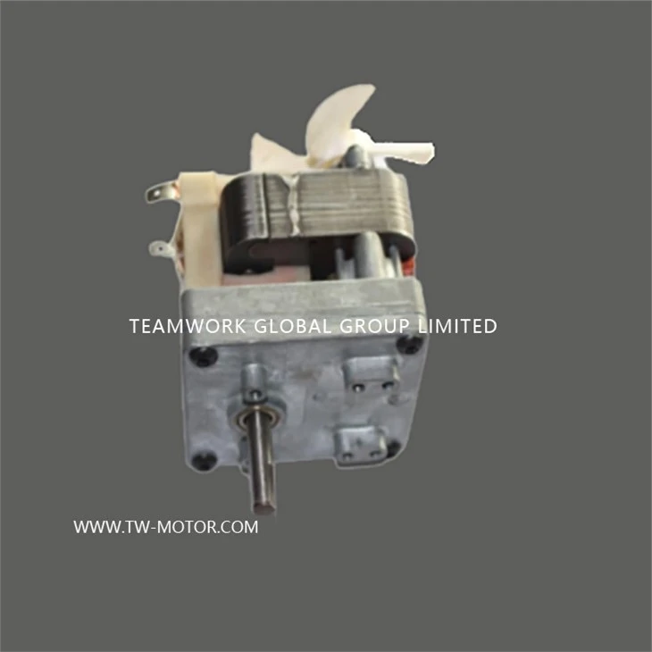 Electric Oven Asynchronous Motor
