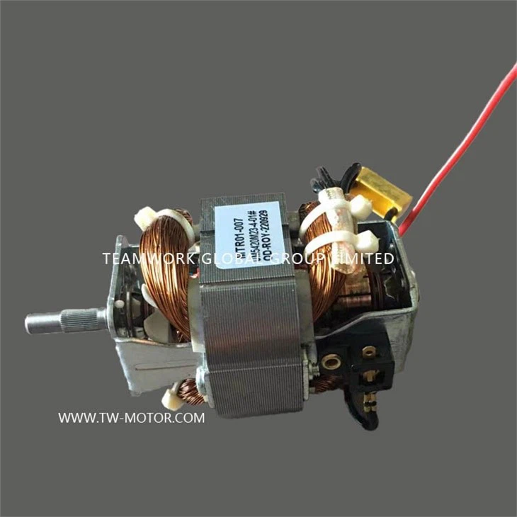 High Efficiency Motor
