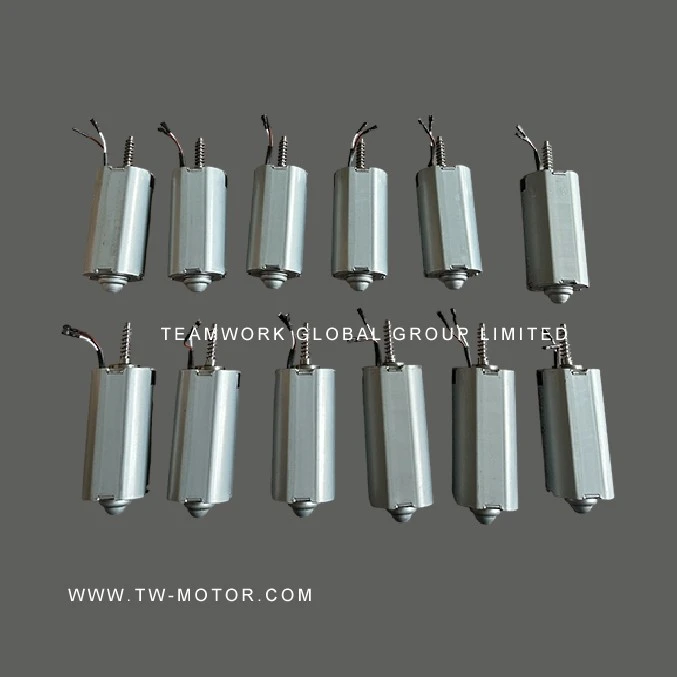Micro Electric Tool Motor