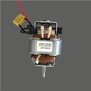 High Efficiency Motor