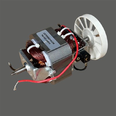 Professioneller Hochgeschwindigkeits-Mixermotor