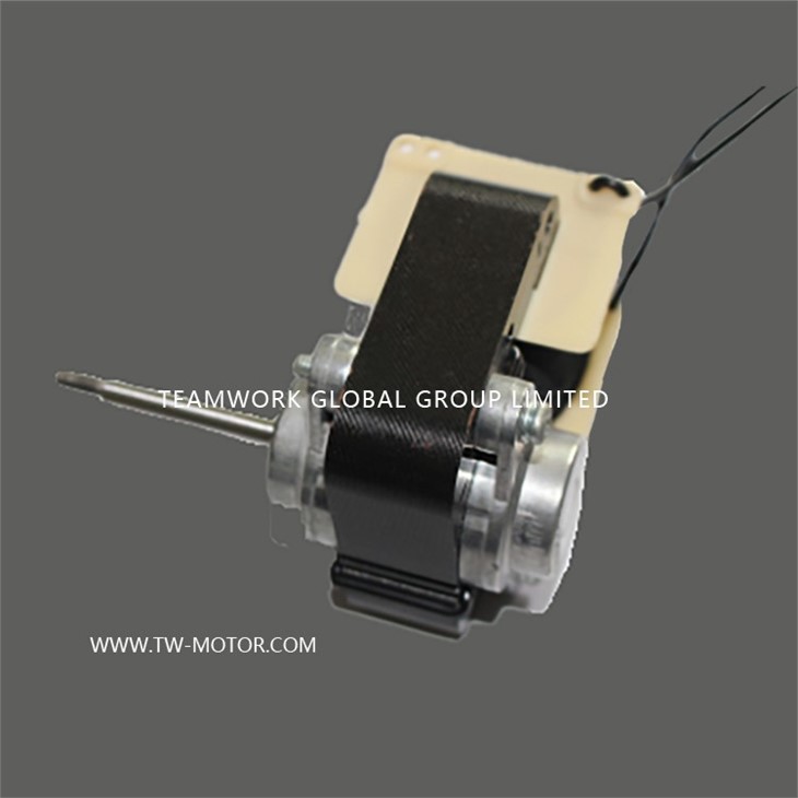 Toilet Exhaust Fan Motor