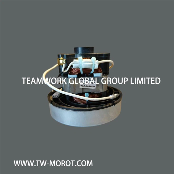 High Efficiency And Silent Vacuum Cleaner Motor